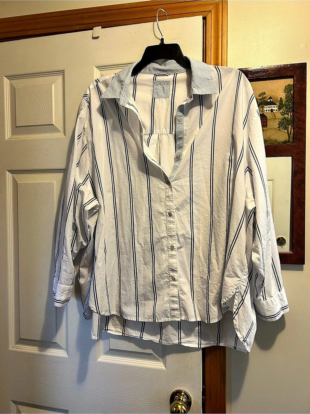 Style & Co Striped Button Down Shirt White & Blue XL Like New